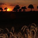 박영희「사는 이유」 이미지