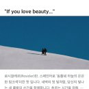 로시끌레르