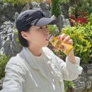 베지밀박스 | 베지밀 바나나 땅콩 버터쉐이크 바땅쉐 맛있는 단백질쉐이크 저당두유 후기