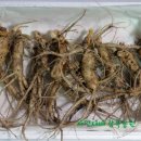 광록농장 이미지