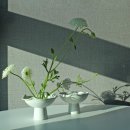 도아상점 이미지