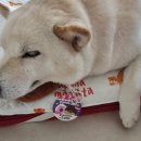피트니스리:본 이미지