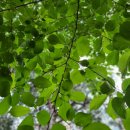 스마트폰으로 포토 영상 만들기 이미지