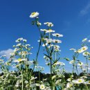 우리보금자리 이미지