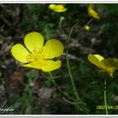 들꽃농장 이미지