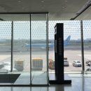 수덕목장 | [제주 일주일] 1일차 / 제주시민속오일장 낭뿌리식당 맹그로브제주시티