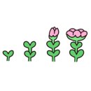 월수금;꽃 이미지