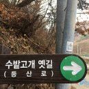 (주)마그넥스 | 도원동 청룡산 수밭고개 비슬산 천왕봉 유가사 등산 코스