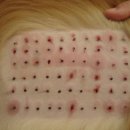 동광주 동물약국 이미지