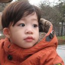 홍차왕자 이미지