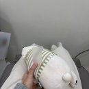 신사역 피부과 벨로의원에서 인생 첫 슈링크 유니버스 300샷 후기 (겁쟁이 기준 아플까 안아플까)
