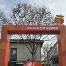 미래목장 | 완주 곶감축제 아이랑 가면 지루하다? 광주 송산목장 승마로 완성한 실패 없는 주말 코스 (feat. 육아...