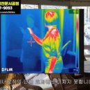 동하썬팅