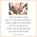 아늑한하루 cozy day