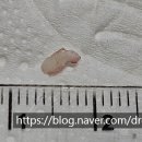 해운대조은동물병원 이미지