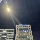 역전우동0410 대화역점 이미지