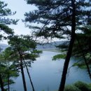 도산면사무소 이미지