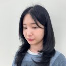 [부평미용실 추천] 숱많은머리, 매트블랙염색 후 레이어드컷 으로 깔끔 우아하게🤍찐 후기