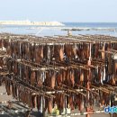 포항구룡포과메기우리수산 이미지