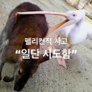 세무법인성우 - 서초구 강남대로12길 8 | 영화제, 직접 만들어봤습니다
