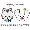 버디독 고양이분양 강아지분양 안심분양센터 인천점 이미지
