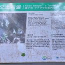 치악산둘레길 3코스 수레너미길 이미지