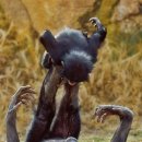 엄마사랑 이미지