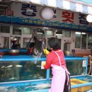 마산횟집 이미지
