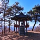 용댕이매운탕 이미지