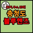 현대자동차블루핸즈 오창장대점 | 충청도 블루핸즈(현대차 정비소) 리스트