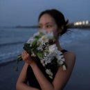 W19) 제주스냅 : 조이아워(계약O) , 하이재이(계약 후 취소)