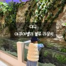 붕붕카닥터부분정비 | 대구 아쿠아밸리 블루 라운지 : 5세 아이 취향 저격! 동물체험 카페 방문 솔직 후기