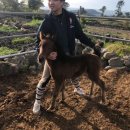 순산목장 이미지