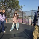 용인대 명인 태권도 이미지