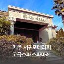 강정동-66 | [제주 마사지 투어 1] 제주 서귀포테라피 고급스파 스파마레