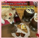 월넛커피 | 어린이대공원역 애견동반 카페 레스또커피 월넛허니케이크 버터떡 내돈내산 재방문후기