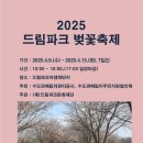 벚꽃뮬리 이미지