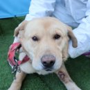 하모이삼로 이미지