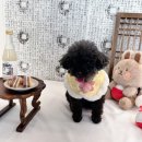 멍플레이 이미지