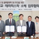 테라피스파소베