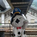 고양이 마을 이미지