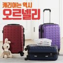 [ORNELLI]오르넬리 초콜릿 여행가방 20인치 기존가108,000원→41,000원 (무료배송) 이미지