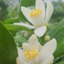 혜림농장 이미지