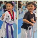 강철 태권도 이미지