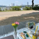 우산공원2 | 한강공원에서 즐기는 감성 피크닉 세트 대여 투더풀리스트 찐후기!