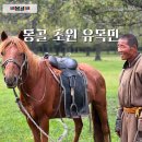 드론 | 몽골여행 2일차 푸르공 이동 초원 유목민 드론 후기