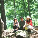 시연유치원 앞 이미지