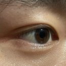 위본안경 위드렌즈 이미지