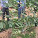 덕화농장2 이미지