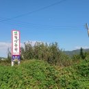 굿모닝유강의원 이미지